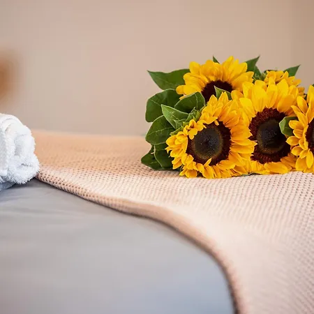 Apartamento Feel - Collet Niza